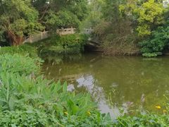 -人民公园(罗湖区)