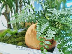 -荷兰布尔玛国际花艺学院