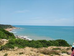 -广东惠东海龟国家级自然保护区
