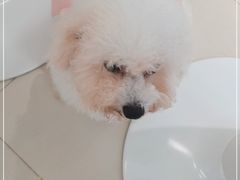 -怪兽屋·羊驼·猫咖·狗咖(俊华广场店)