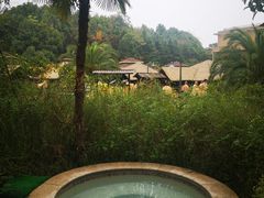 -咸宁万豪温泉谷度假区