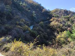 -金龙寺国家森林公园