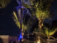 -精酿农场Brew Farm·沙漠绿洲餐厅
