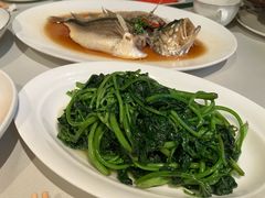 -芙蓉堂(武汉天地店)