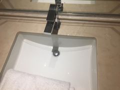 -成都明宇丽雅饭店