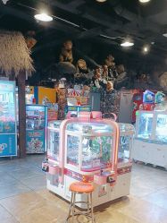 -卡通尼·Safari非洲探索乐园·生日会(金桥国际商业广场店)