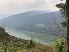 -铁山坪森林公园