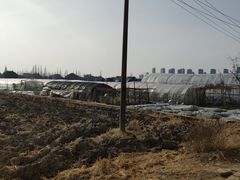 -青浦采草莓天天草莓园