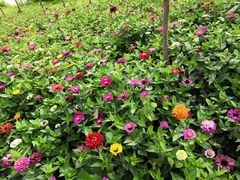 -梁鸿国家湿地公园