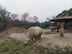 -宁波野生动物园