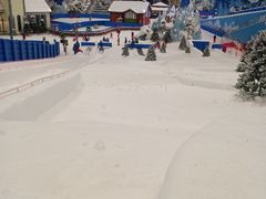 -长沙湘江冰雪世界