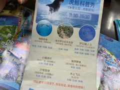 演出时间表-上海海昌海洋公园