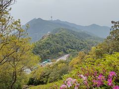 -梧桐山风景名胜区