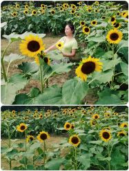-玄武湖景区-情侣园游乐场