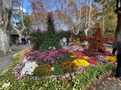 -共青国家森林公园-南大门停车场