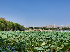 -济南大明湖景区