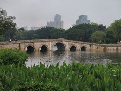 -荔湾湖公园