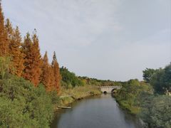 -眉山湿地公园(东坡区)