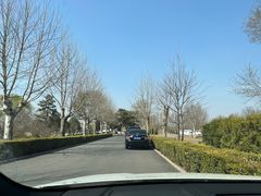 -上林马术中央公园·户外露营·团建·骑乘