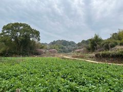 -新安江山水画廊风景区