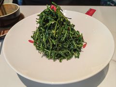 红果枸杞苗-清真·宁夏印象·盐池滩羊肉体验店(江宁路店)