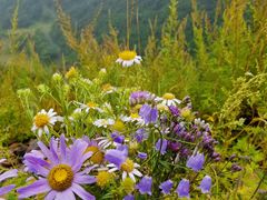 -白草畔自然风景区