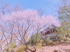 -颐和园