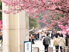 -南山植物园