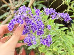 -茶米人台湾料理·精致快简餐