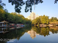 -晓港公园