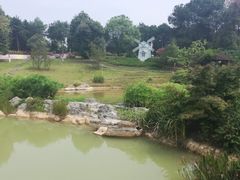 -铁山坪森林公园