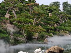 -罗红摄影艺术馆