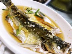 清蒸白水鱼-洞天食府(北大街店)