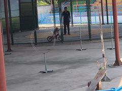 -秦皇岛野生动物园
