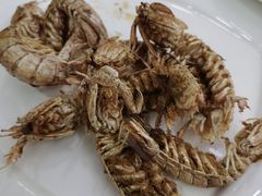 -望海潮海鲜店 特色家常菜(在海一方店)