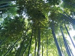 -荆川公园
