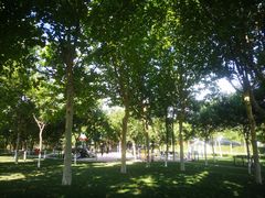 -九十九顶毡房(阜石路店)