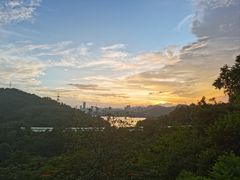 -深圳仙湖植物园