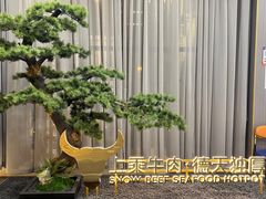 -德天雪花肥牛海鲜火锅(南苑东路店)