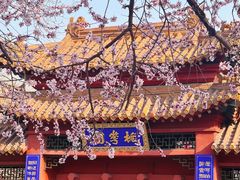 -桃花堤公园