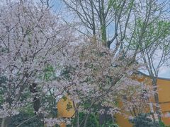-龙华寺
