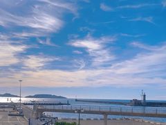 -马赛老港