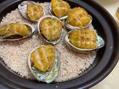盐焗鲍鱼-老乡村美食农庄