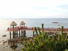-养马岛旅游度假区