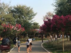 -武汉紫薇都市田园