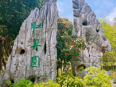 -南京古林公园