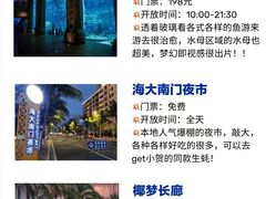 -亚龙湾热带天堂森林公园