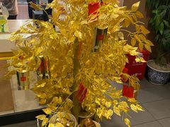 -麦当劳(轻轨曹杨路店)