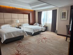 -张家港华芳金陵国际酒店