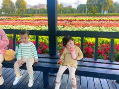 -广东花都香草世界旅游度假区